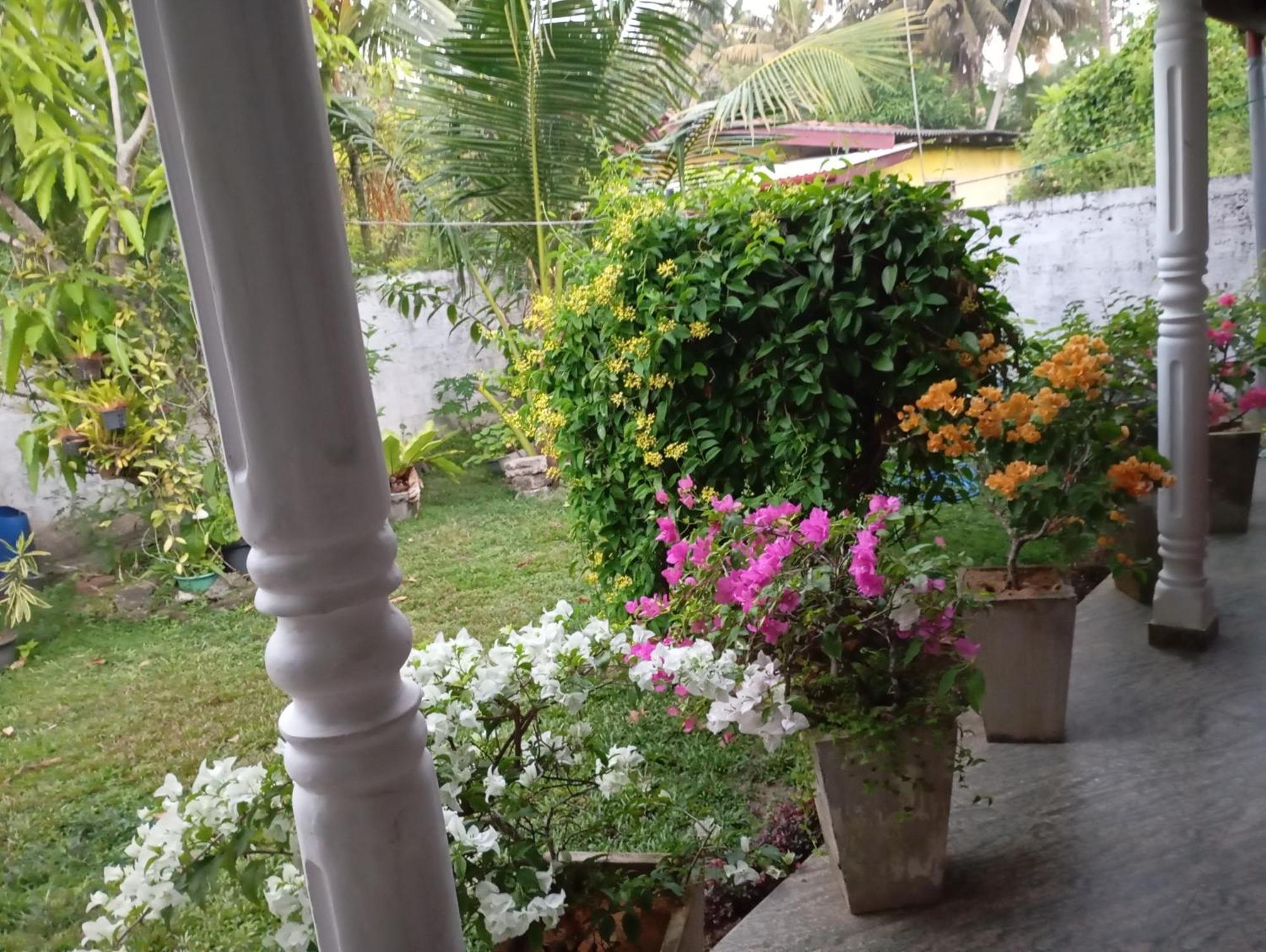 Southern Beach Surf Lodge Ahangama Luaran gambar